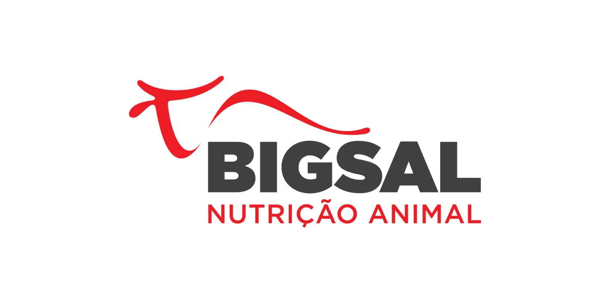 Logo BigSal